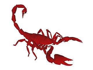 精品动物模型 蝎子 (1)